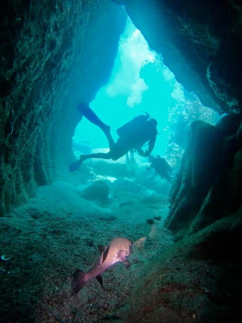 Morros De Potosi: Dive Into the Mysteries of the Night