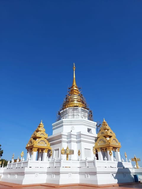 Mountains Discovery:Doi Mae Salong & Doi Tung (Private Tour)