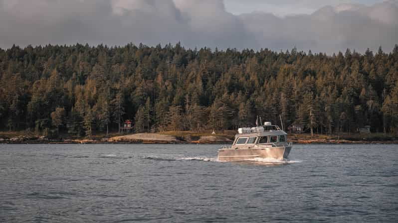 2 Best Whale Watching Experiences In Nanaimo