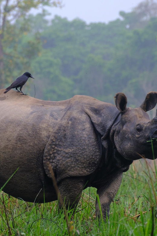 Nepal: Classical Tour (8-Days)