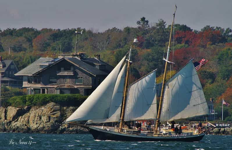 Newport: Morning Mimosa Sail Aboard Schooner Aquidneck - Activity Overview