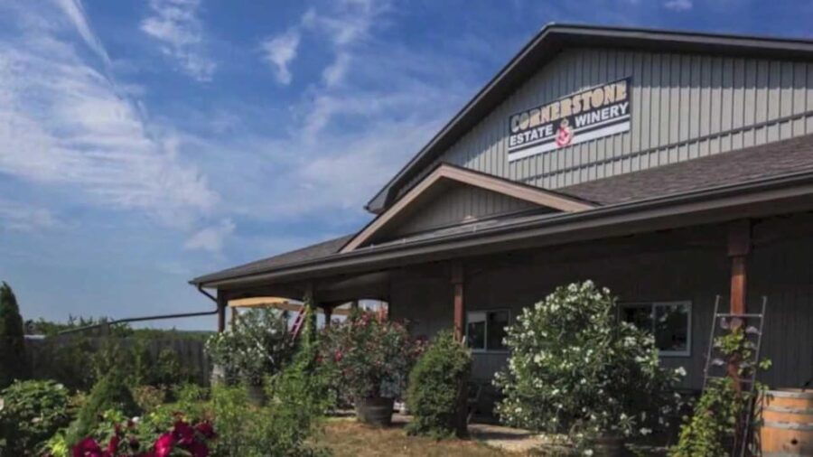 Niagara Falls: Public Niagara Wine Tour With Transportation