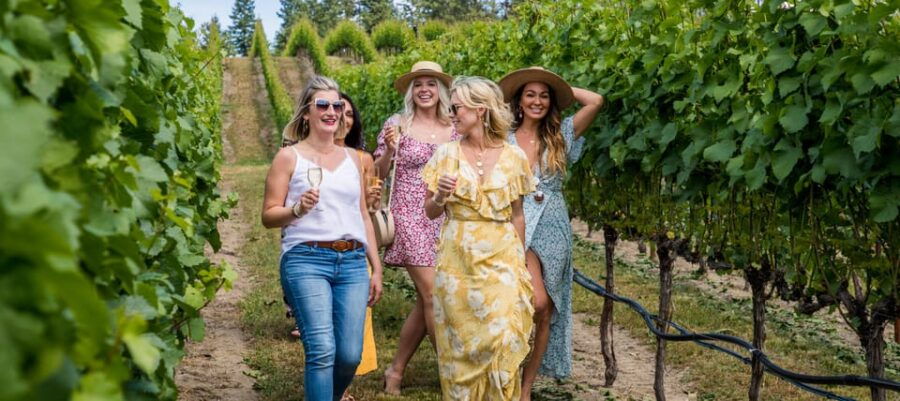 Niagara Falls: Public Niagara Wine Tour With Transportation