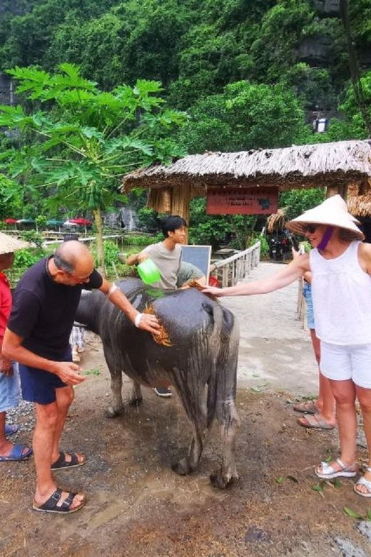 Ninh Binh : Countryside Tour by Motorcycle – Buffalow Riding