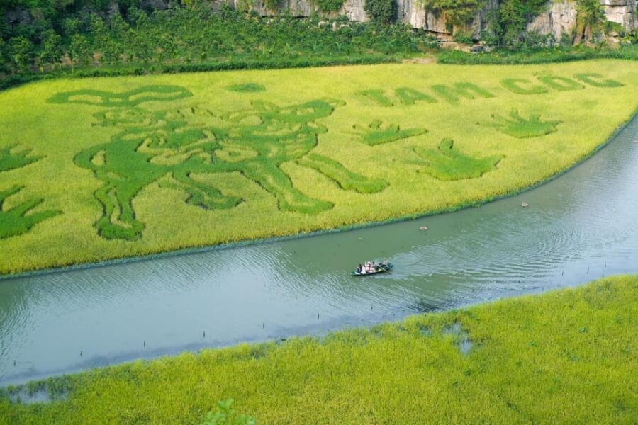 Ninh Binh Full-Day Small Group of 11 Guided Tour From Hanoi - Itinerary Highlights