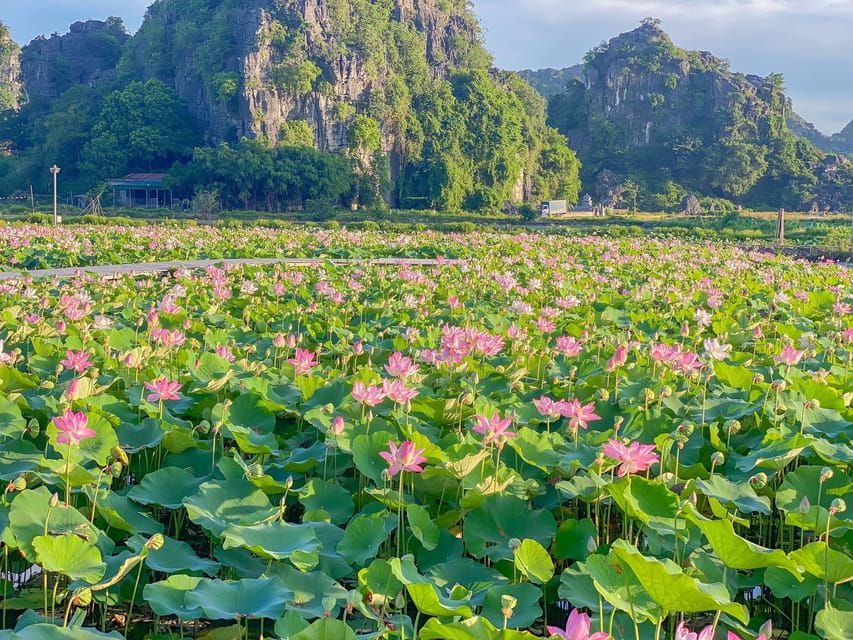 Ninh Binh Full-Day Trip: Bai Dinh, Trang An and Mua Caves
