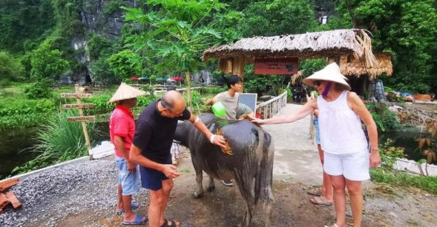 Ninh Binh: Motorbike Tour With Pagoda & Countryside Villages
