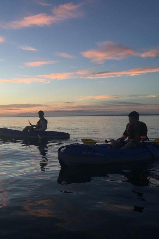 Oak Bluffs: Deliveries - Booking Information