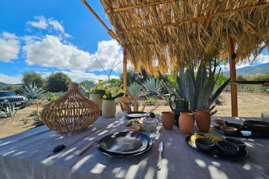Oaxaca: Private Lunch in Maguey Fields With Mezcal Tasting - Highlights of the Lunch and Tasting