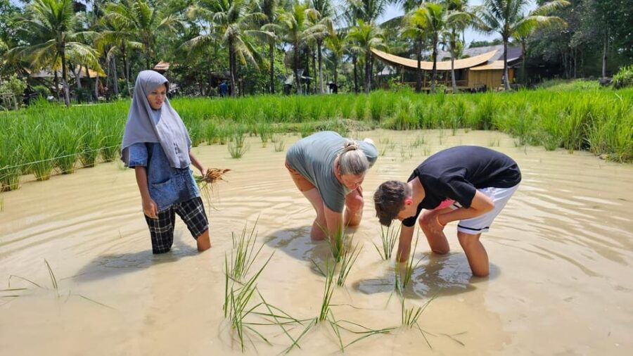 Old Phuket Farm Ticket - Countryside Local Life Culture - Ticket Information and Pricing