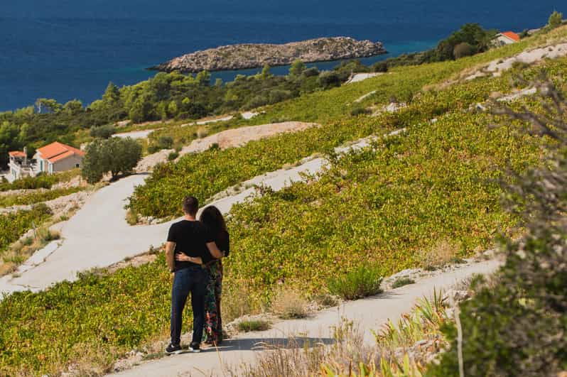 Original Wine Lovers Tour of Peljesac Peninsula