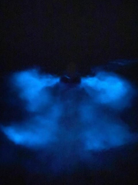 Orlando: Bioluminescence Kayak Tour - Tour Overview