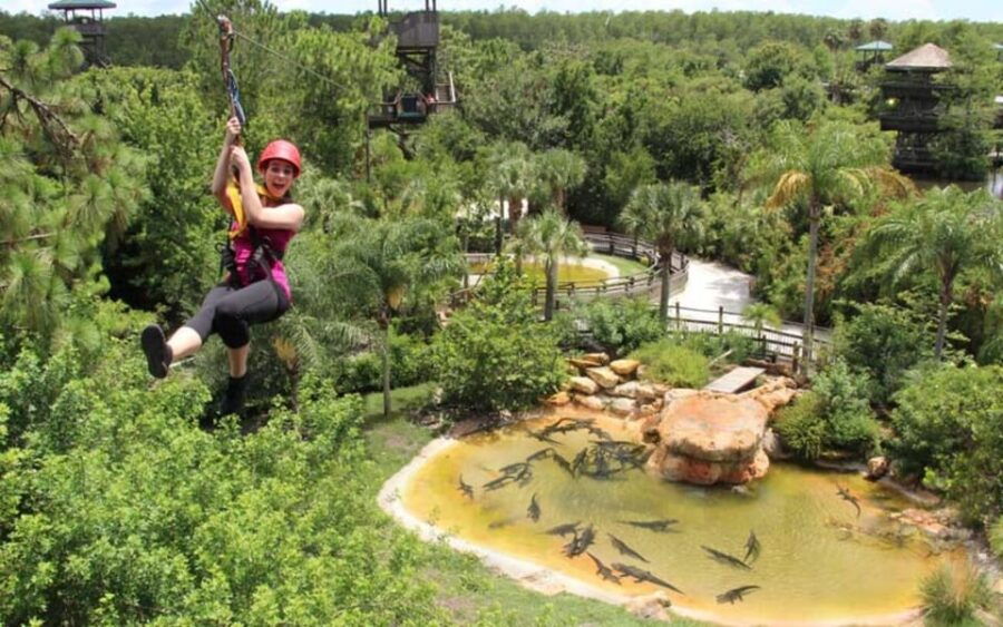 Orlando: Gatorland Zipline Adventure W/ Full-Day Park Access