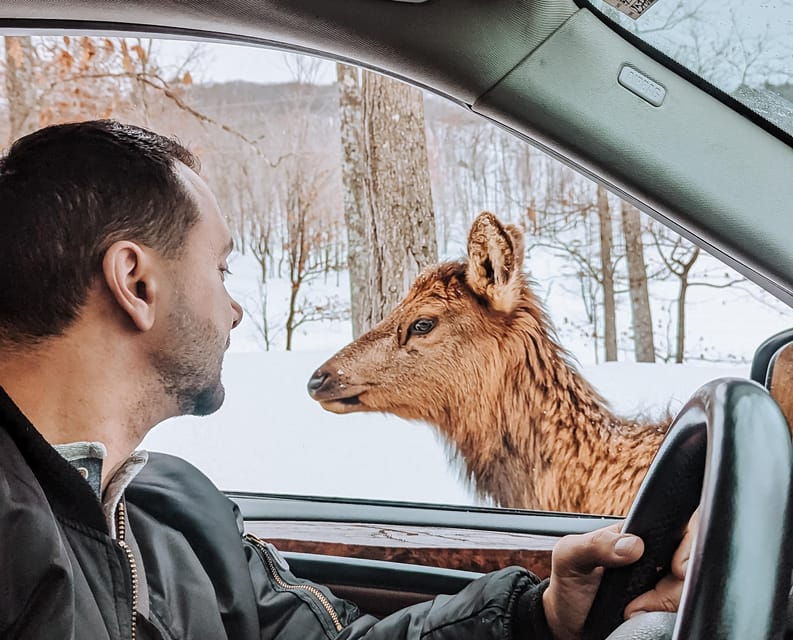 Ottawa: Private Wildlife Adventure Tour at Parc Omega