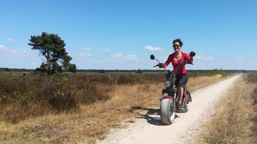 Otterlo: E-Chopper Rental