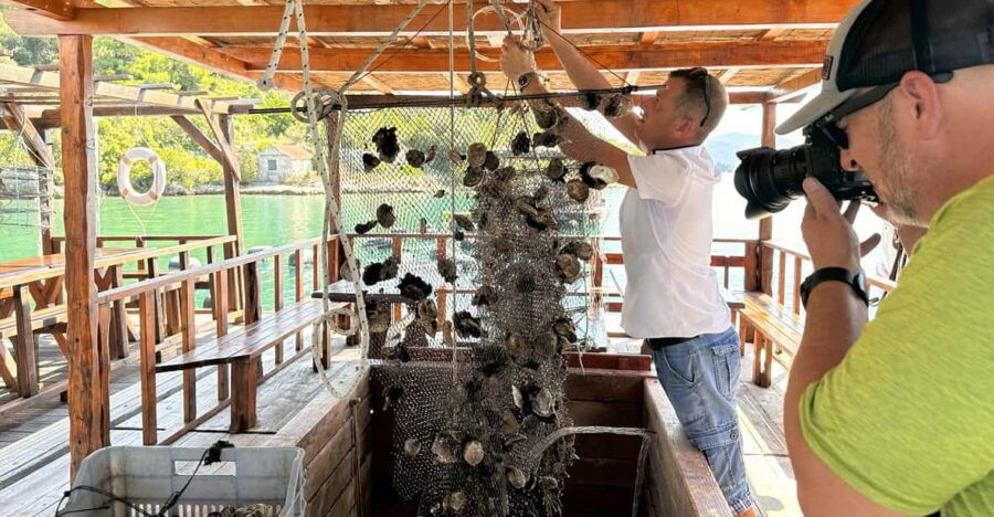 Oyster Farm Experience-Private Day Trip From Dubrovnik - Overview and Pricing