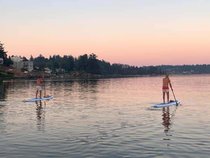 Paddle the Heart of Downtown Victoria - Activity Overview