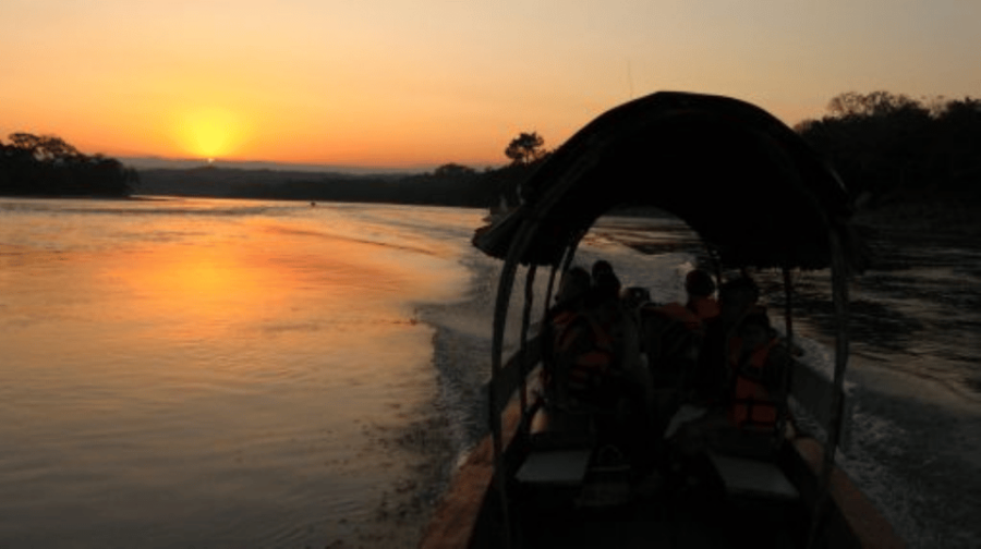 Palenque: 2-Days Nature Tour in Northern Lacandon Jungle