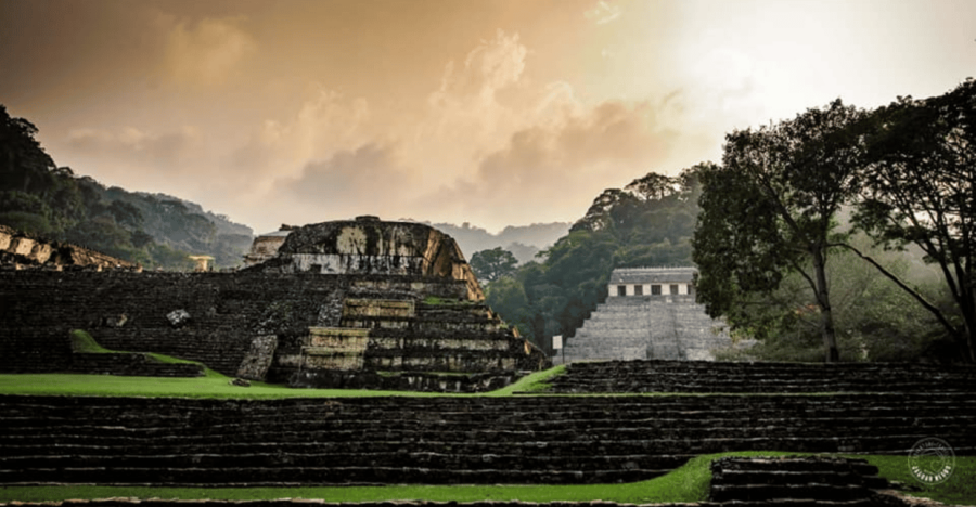 Palenque: Calakmul Tour: Mayan Ruins & Wildlife Exploration
