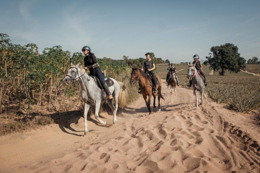 Pattaya, Thailand: Experience Scenic Horse Trail Riding