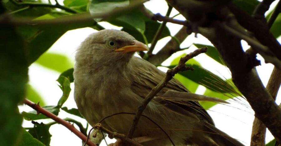 Phong Nha National Park - Paradise Cave & Dark Cave - Itinerary Highlights