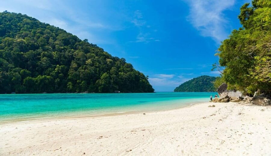 Phuket or Khao Lak: Surin Islands & Moken Village Day Trip - Trip Overview and Pricing
