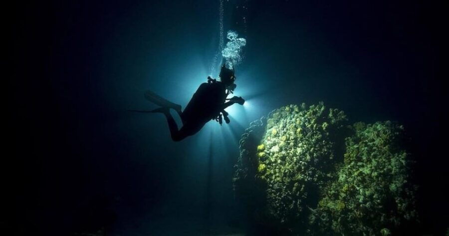 Playa Del Carmen: Advanced Open Water Diver Course