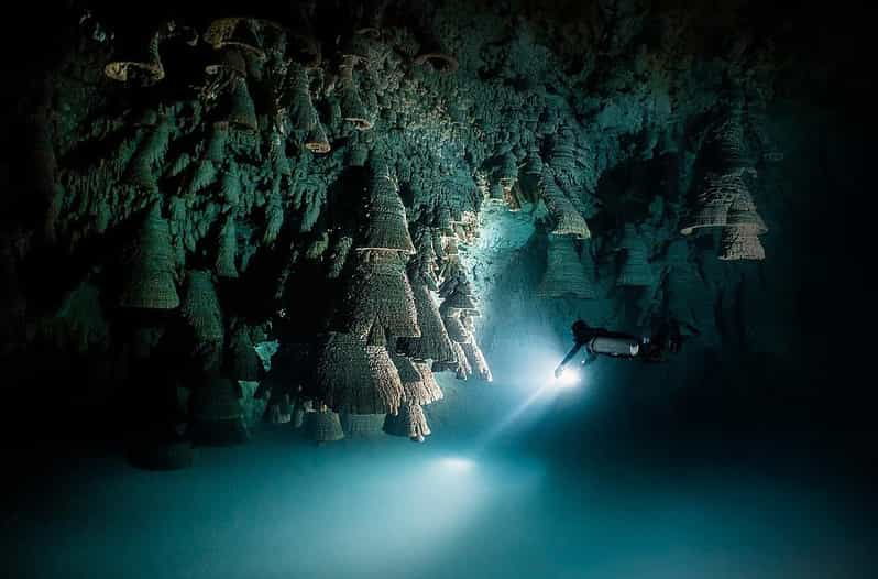 Playa Del Carmen: Explore the Surreal World of Cenote Diving
