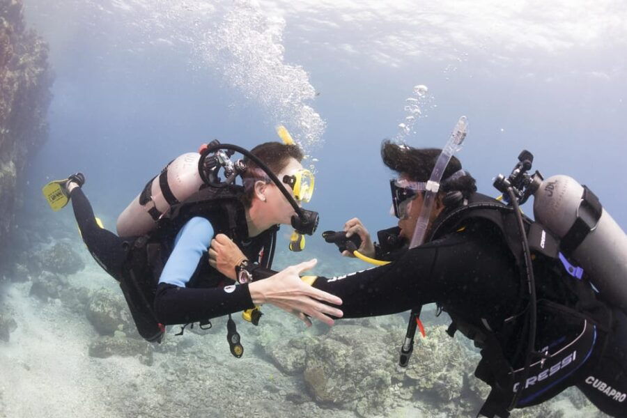 Playa Del Carmen: Ultimate PADI Open Water Diver Experience