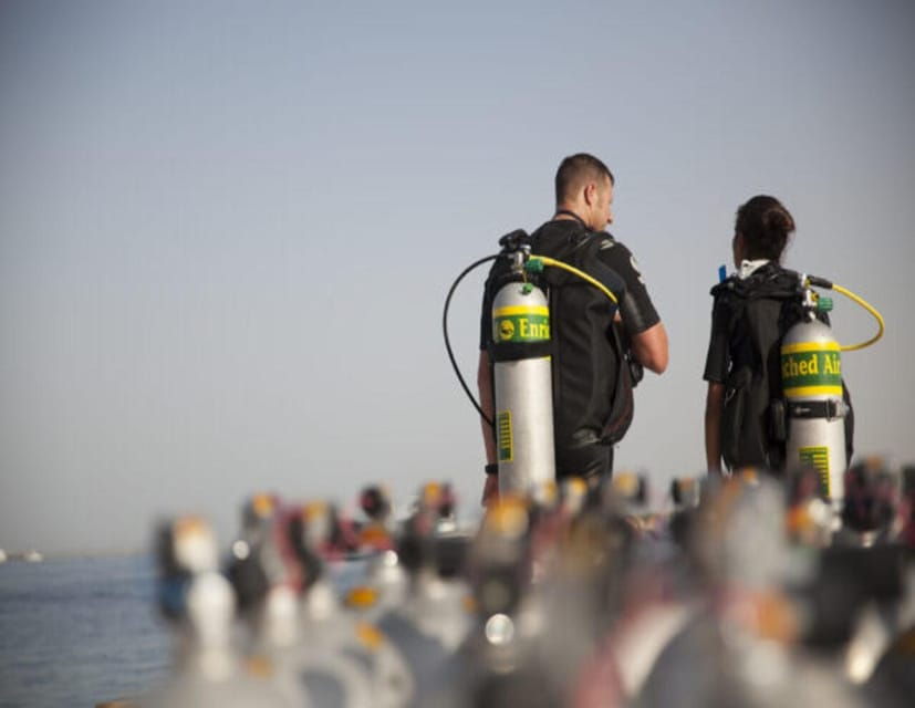 Playa: PADI Dive Master