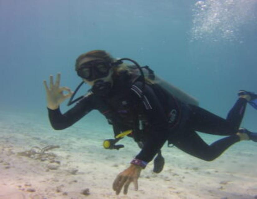 Playa: Padi Open Water