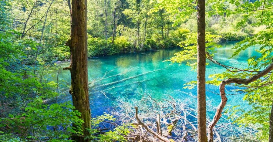 Plitvice Lakes Private Full Day Tour From Dubrovnik - Booking Information
