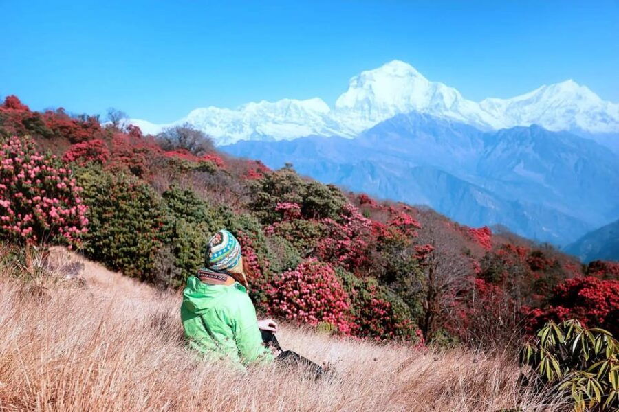 Pokhara: 2 Day Ghorepani & Poon Hill Trek With Sunrise Views - Detailed Itinerary
