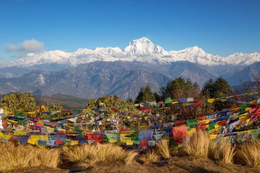 Pokhara: Ghorepani and Poon Hill Trek (4-Day)