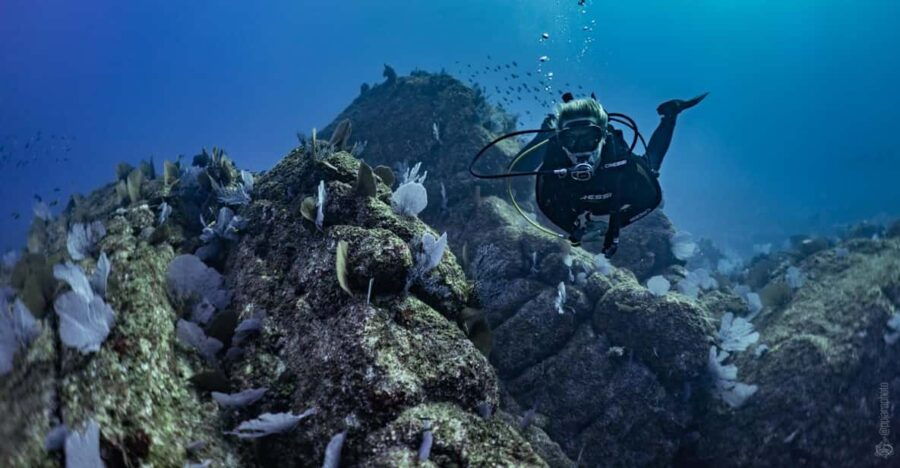 Private Discover Scuba Diving Class 1 - 2 People - Activity Overview