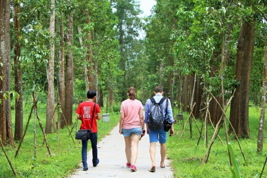Private From Hoi An: Explore Ruins of My Son