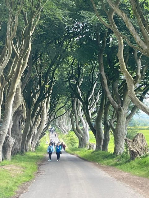 Private Luxury Tour of Belfast & Giants Causeway Tickets Inc - Tour Overview