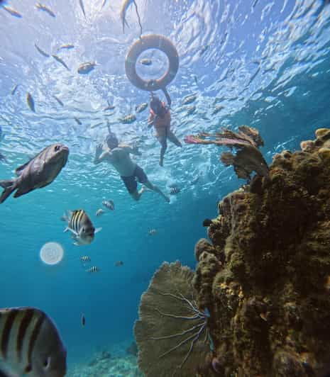 Private - Snorkel Along the Coast With Chivis Del Mar. - Tour Overview and Pricing