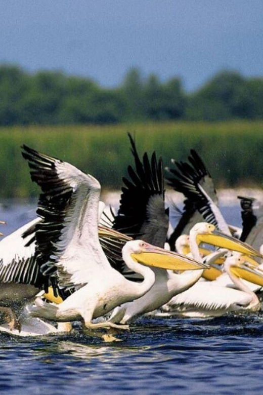 Private Tour From Bucharest to Danube Delta 2 Days Tour