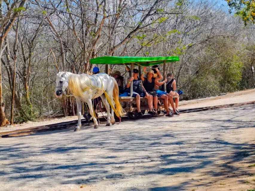 Progress: Excursion to the Santa Barbara Homun Cenotes