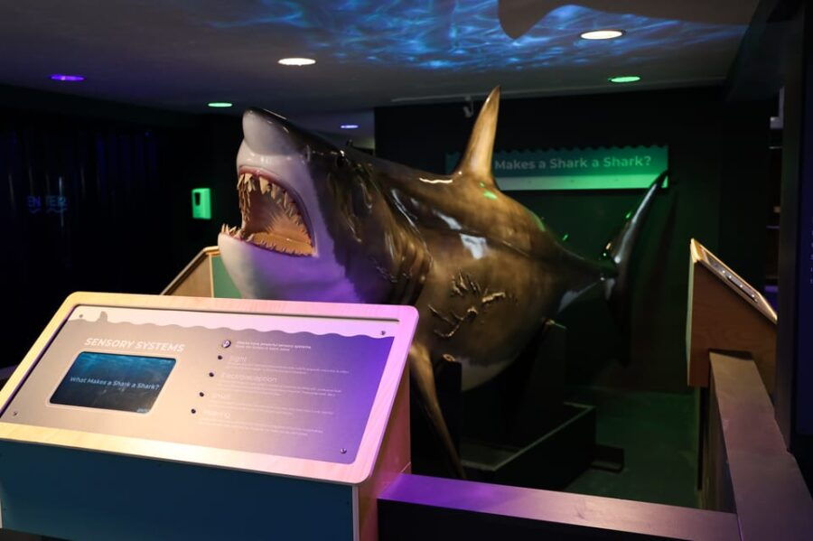 Provincetown: Shark Center Provincetown Admission Ticket - Ticket Details