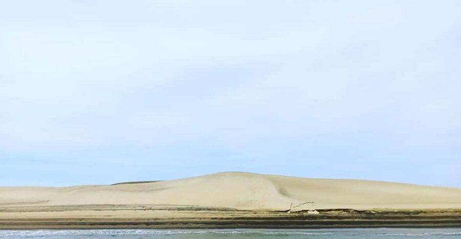 Puerto Chale: Private Gray Whale Watching Expedition - Expedition Overview