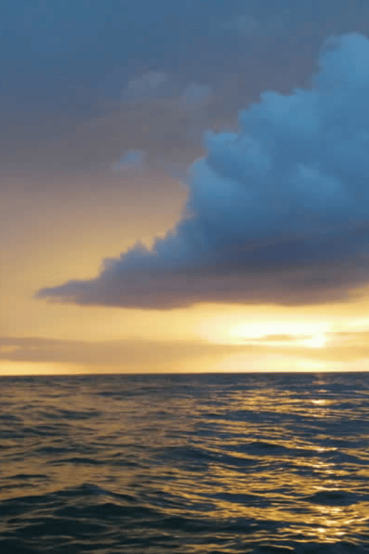 Puerto Vallarta: Pirate Ship Night Show & Dinner Cruise