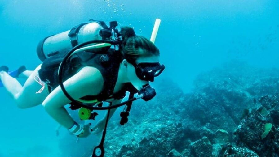 Puerto Vallarta: Scuba Dive at Los Arcos - Activity Overview