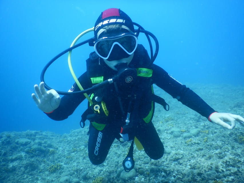 Pula: Introduction to Scuba Diving for Kids (age 8-10) - Overview of the Program