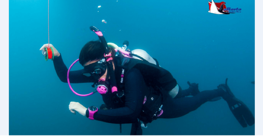 Punta Mita: Scuba Diving Adventure in Islas Marietas