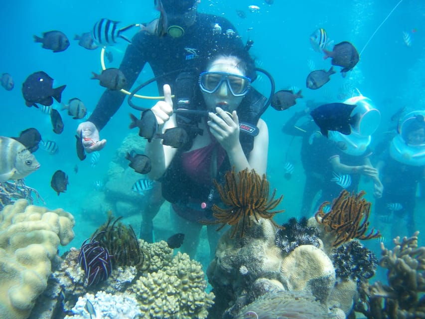 Red River Tour - Scuba Diving At Roi Island Phu Quoc - Itinerary Details