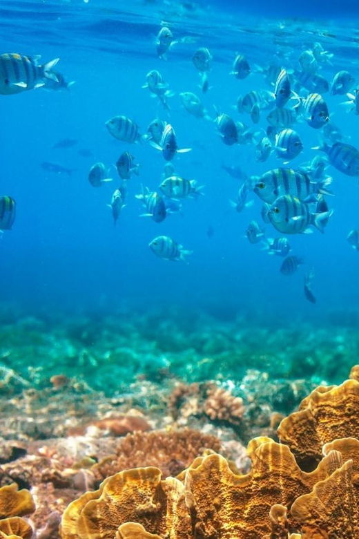 RedRiverTour – Discovery 3 Islets, Snorkeling By Speedboat