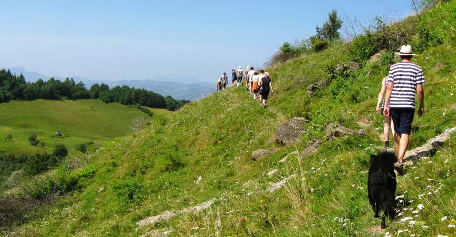 Rosia Montana Gold Mine & Hike (1 Day, From Cluj) - Tour Overview and Details