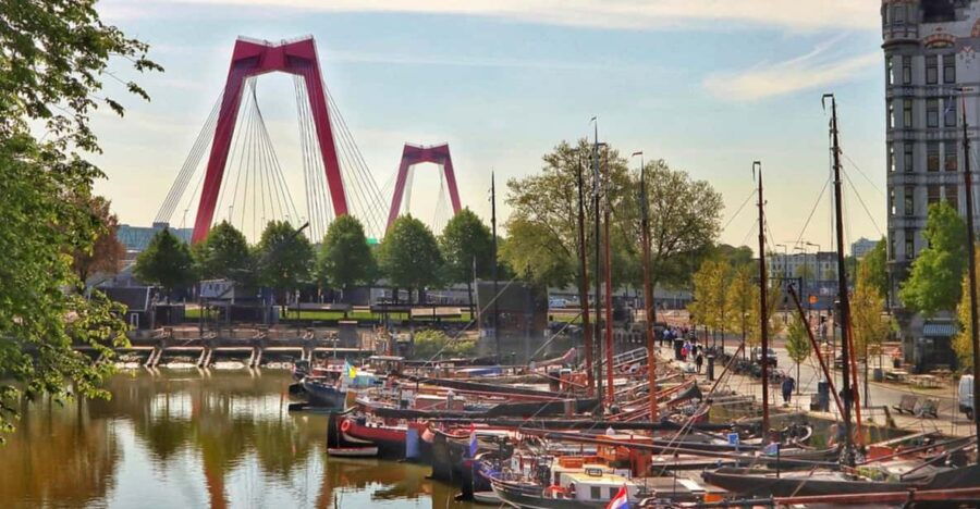 Rotterdam Discovery Walk: Iconic Markets & Modern Marvels